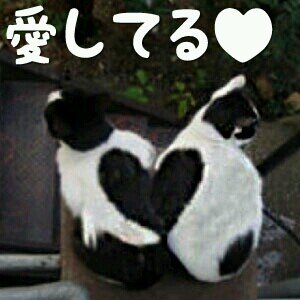 makiebi's profile picture. 読書と音楽が好きです。Gotchさん、くるり、君島大空さん、ミチロウさん、佐藤正午さん他いっぱい❤️書店で楽しくパートしてます。大好きな文芸担当📚