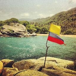 cristhi86765545's profile picture. 