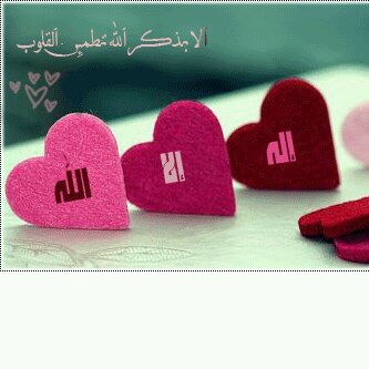 star1110000's profile picture. لا شَيء أجمَل مِن قول  الحَمدُ لله .♥.