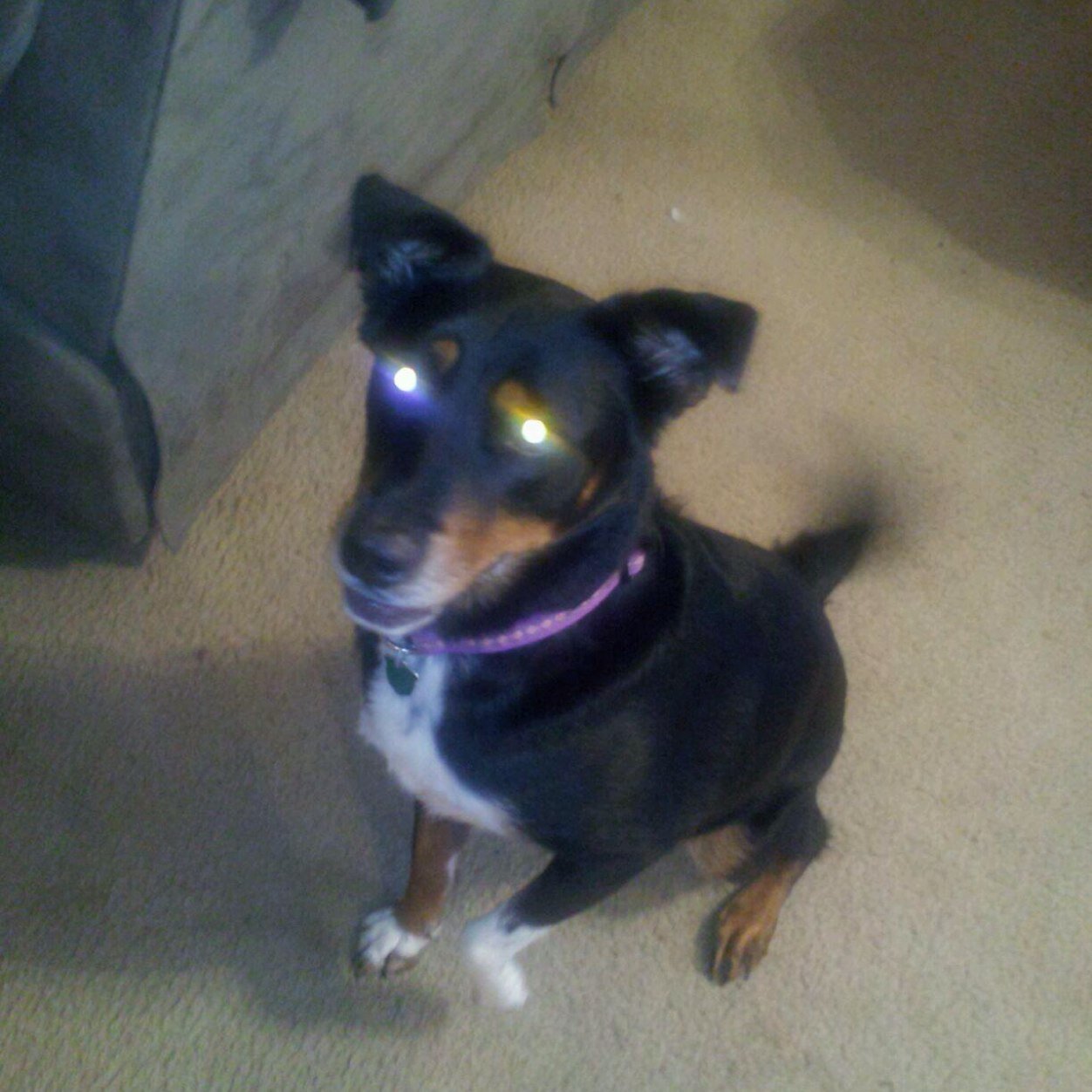 HMinor15's profile picture. Taken by @DRitchey17💘😘 Bluffton University✝️ Class of 2019 🎓