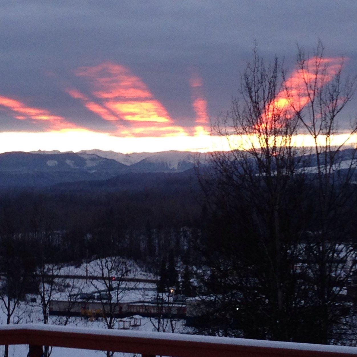 thereal_jtrader's profile picture. 