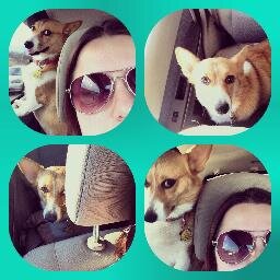 Adam, Corgis, DP, Harry Potter and teaching are some of my favorite things. I also have other favorite things, but that's for me to know and you to find out!