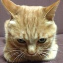 由 (@11yui21) Twitter