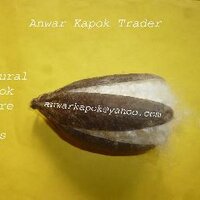 Anwar Kapok Traders (@kapoktraders) 's Twitter Profile