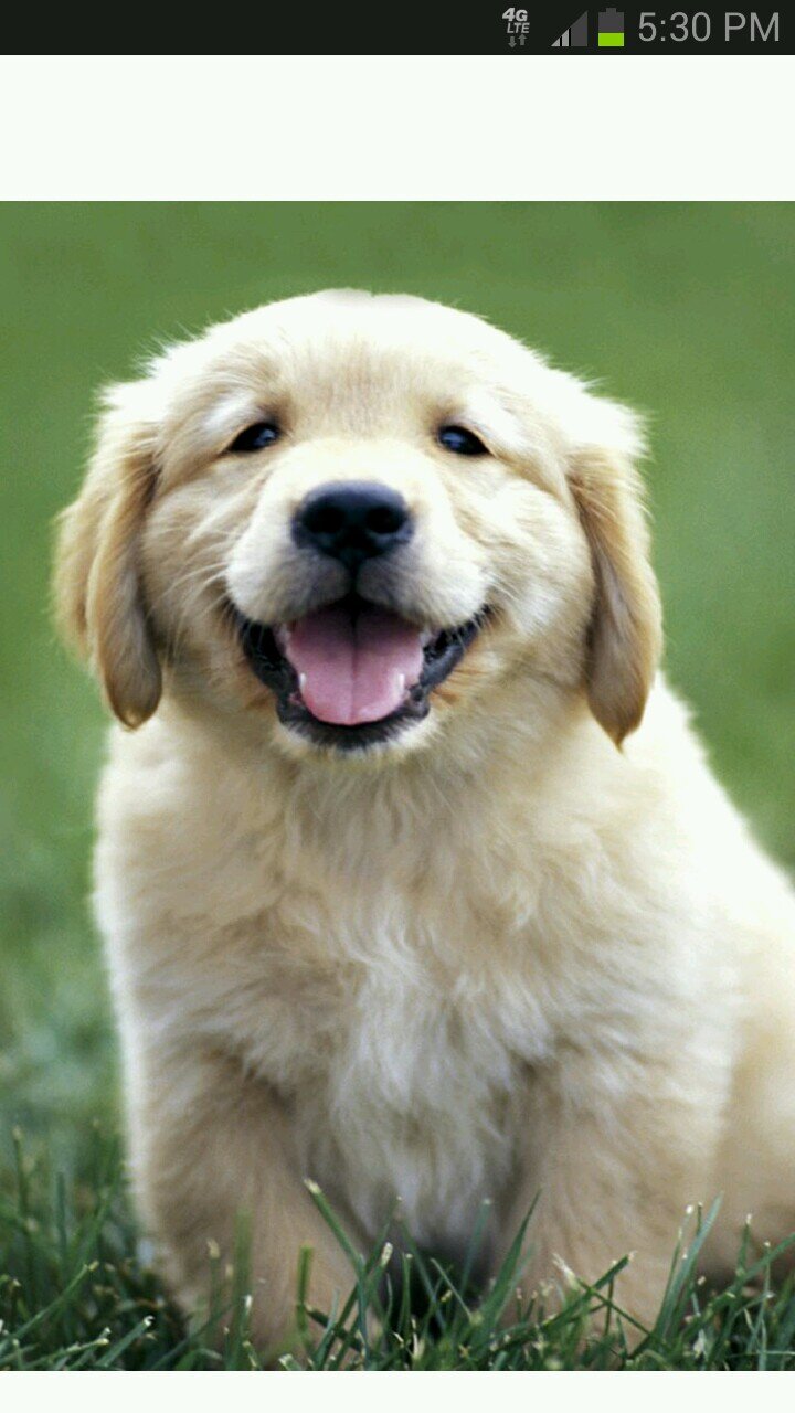 rhonjondisney's profile picture. 