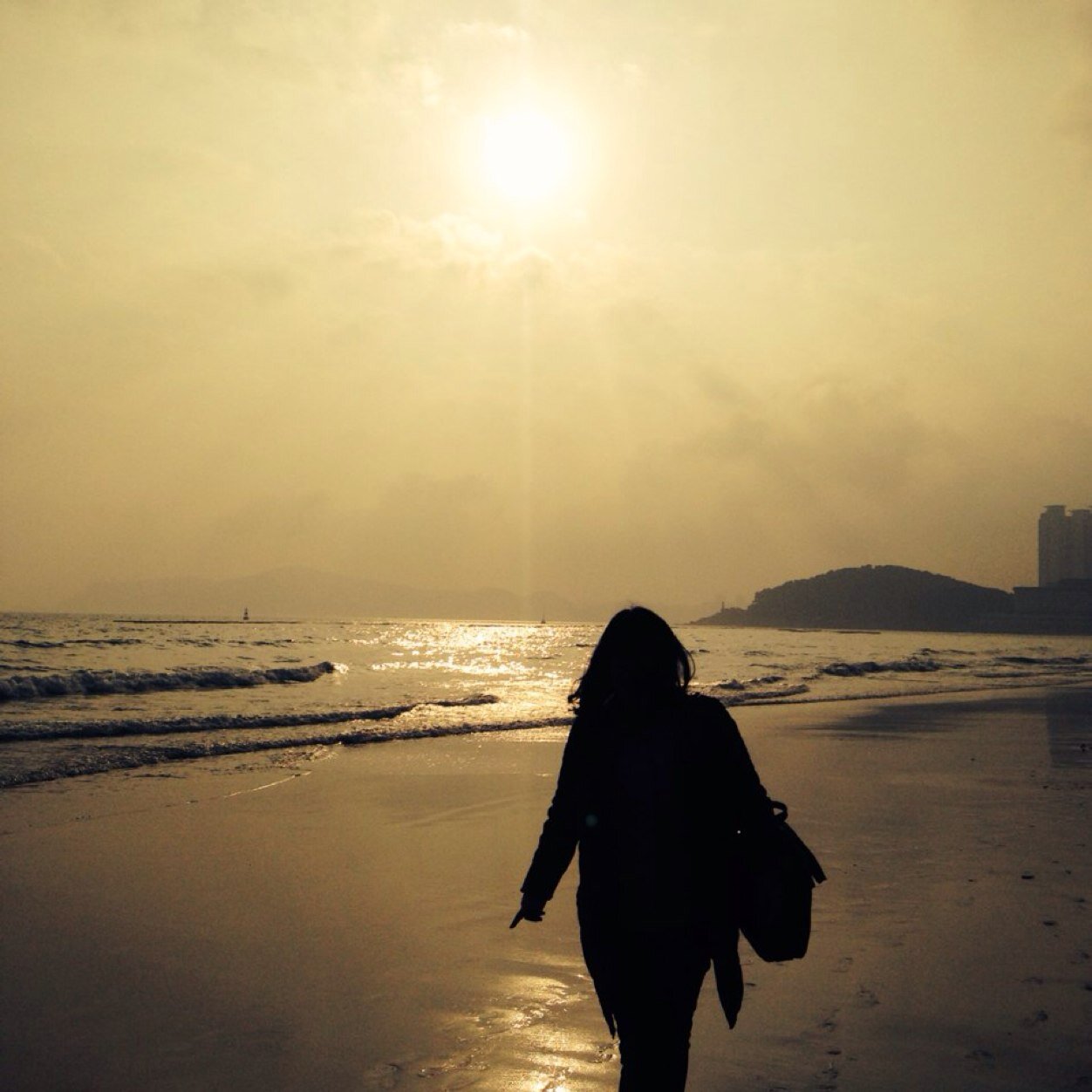 국어학 박사. Linguist.