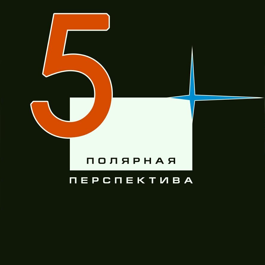 Фотоконкурс «Полярная перспектива» был учрежден в 2009 году в Норильске. Зарекомендовал себя ключевым событием в фото жизни Норильска и Крайнего Севера.