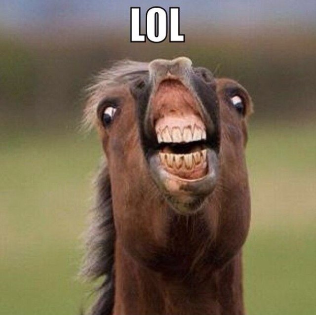 RandomDailyz's profile picture. Tweeing random stuff since 2014