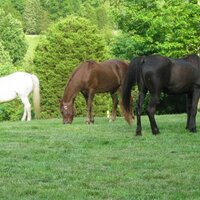 Don C (@ourfarm) 's Twitter Profile