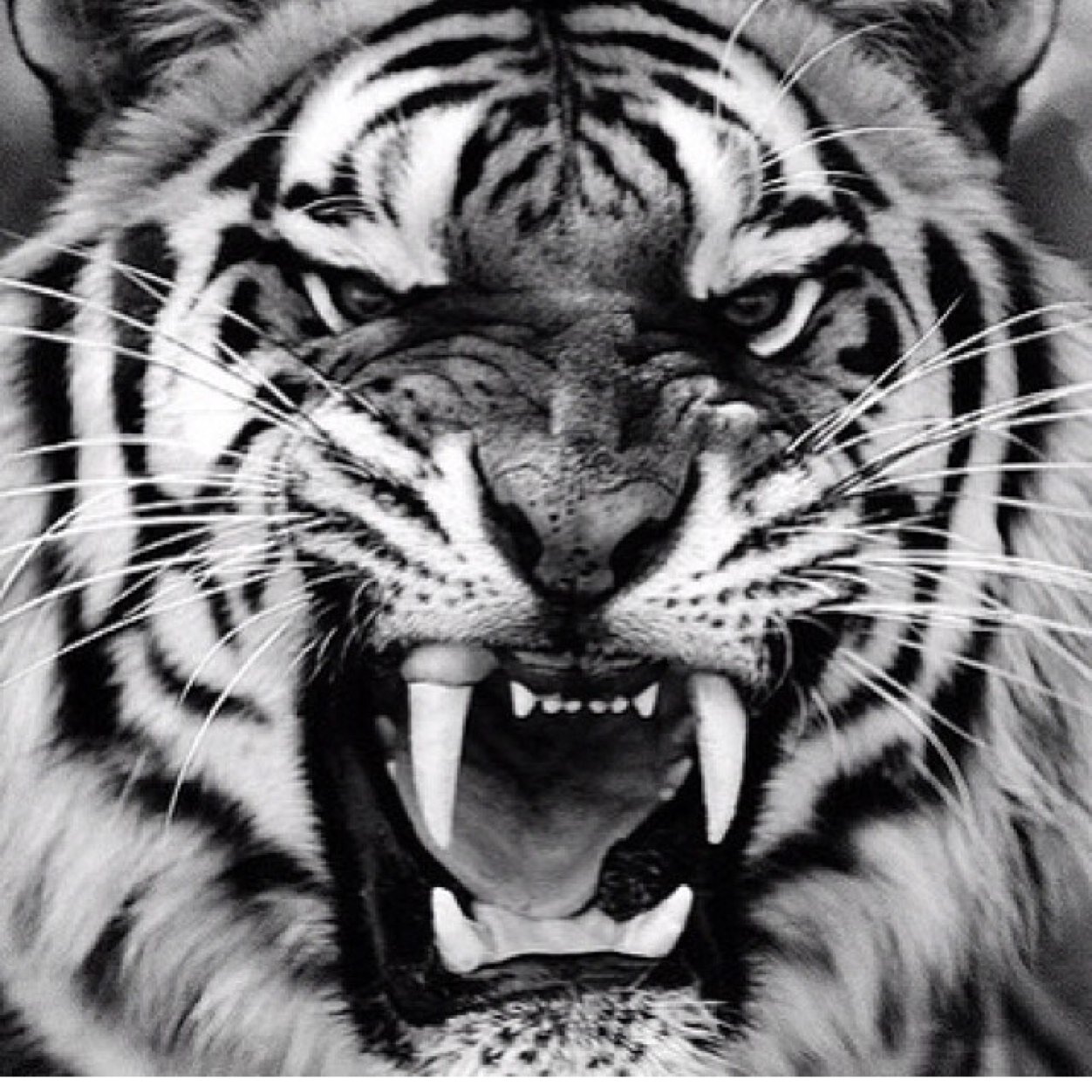 secert_secret's profile picture. I'm different but no one knows.I keep shit to myself. My life is difficult to understand. Trying so hard to fit in when i know that i really dont.