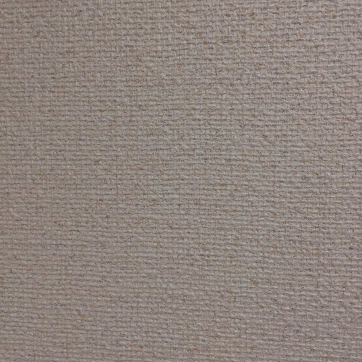 嘘つきな人嫌いです。