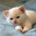 azwar hamid |Voltix.ai 👾 (@aznahamid) Twitter profile photo azwar hamid |Voltix.ai 👾 (@aznahamid) Twitter profile photo