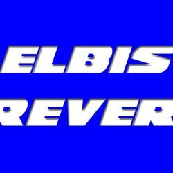 elbisrever's profile picture. 