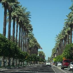 dknowsitall's profile picture. 