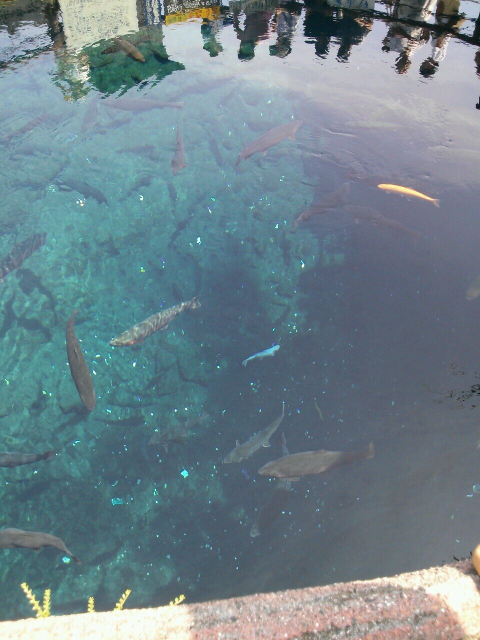 kaitoo724's profile picture. 明学 2O ブク