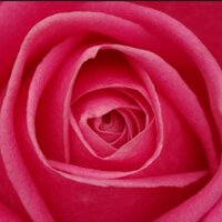 Micky (@catijel) 's Twitter Profile
