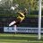 harrald_brakel's profile image