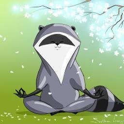 We were young, beatiful and dog raccoons