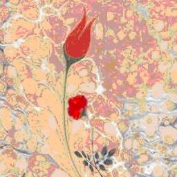 ahmetceranoglu's profile picture. 