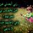 ahzahmed55's profile image