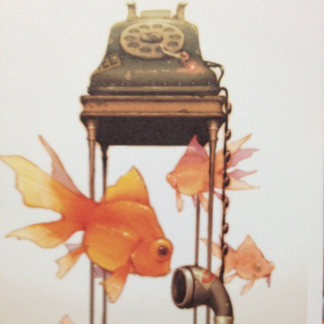 空間金魚 Kuukan Kingyo Twitter 空間金魚 Kuukan Kingyo Twitter
