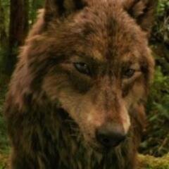 Twilight lover,Animal Lover, read,March7 is my 3 yr ann. from self harm!