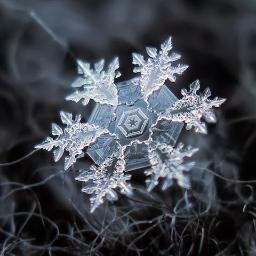 fand0m_freak's profile picture. Art is not so much of a crime. As long as you can create something enjoyable to the eyes, ears, nose, mouth, or hands, you are a natural born artist. Art = life