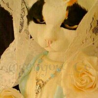 幻妖商会🪷流音 (@genyou_co) 's Twitter Profile Photo 幻妖商会🪷流音 (@genyou_co) 's Twitter Profile Photo