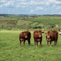 Colm Stenson (@colmstenson) 's Twitter Profile Photo Colm Stenson (@colmstenson) 's Twitter Profile Photo