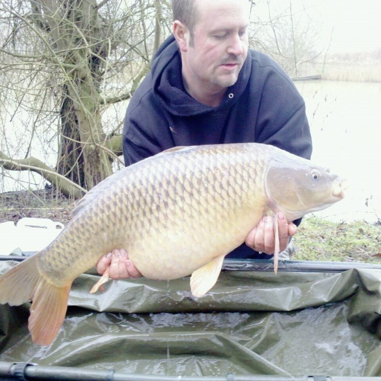 LewisLewi229's profile picture. 