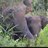 Richard_Kayser's profile image