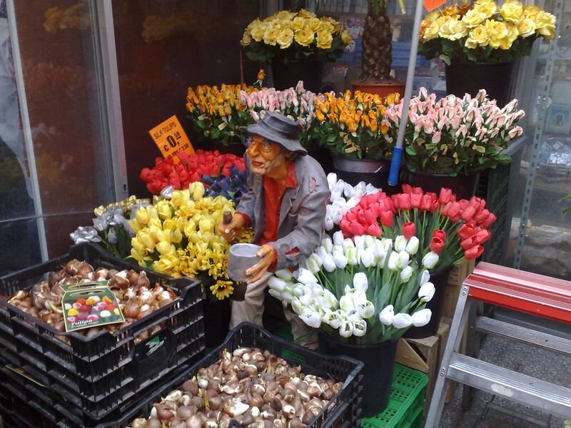 AMCourbois's profile picture. Love good books, French delicacies & travel!