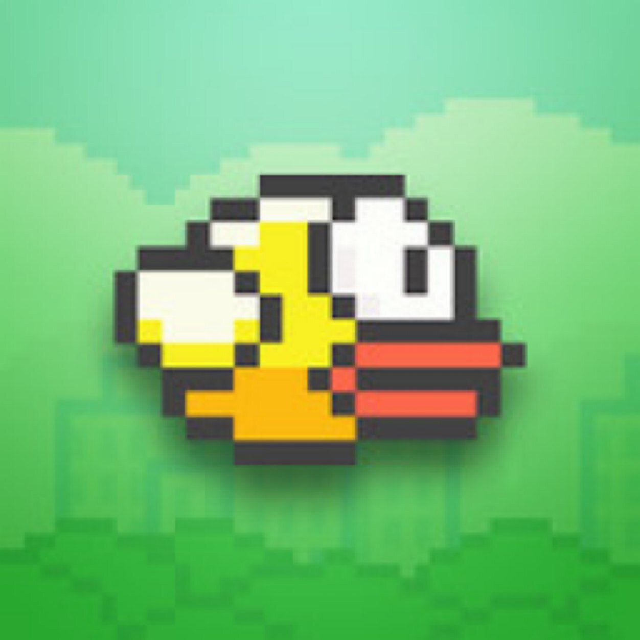 Flap Flap !