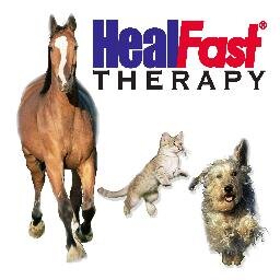 Inexpensive, wearable, portable, disposable HealFast Therapy is PEMF in a patch. A drug-free, safe & effective therapy for inflammation and pain in animals.