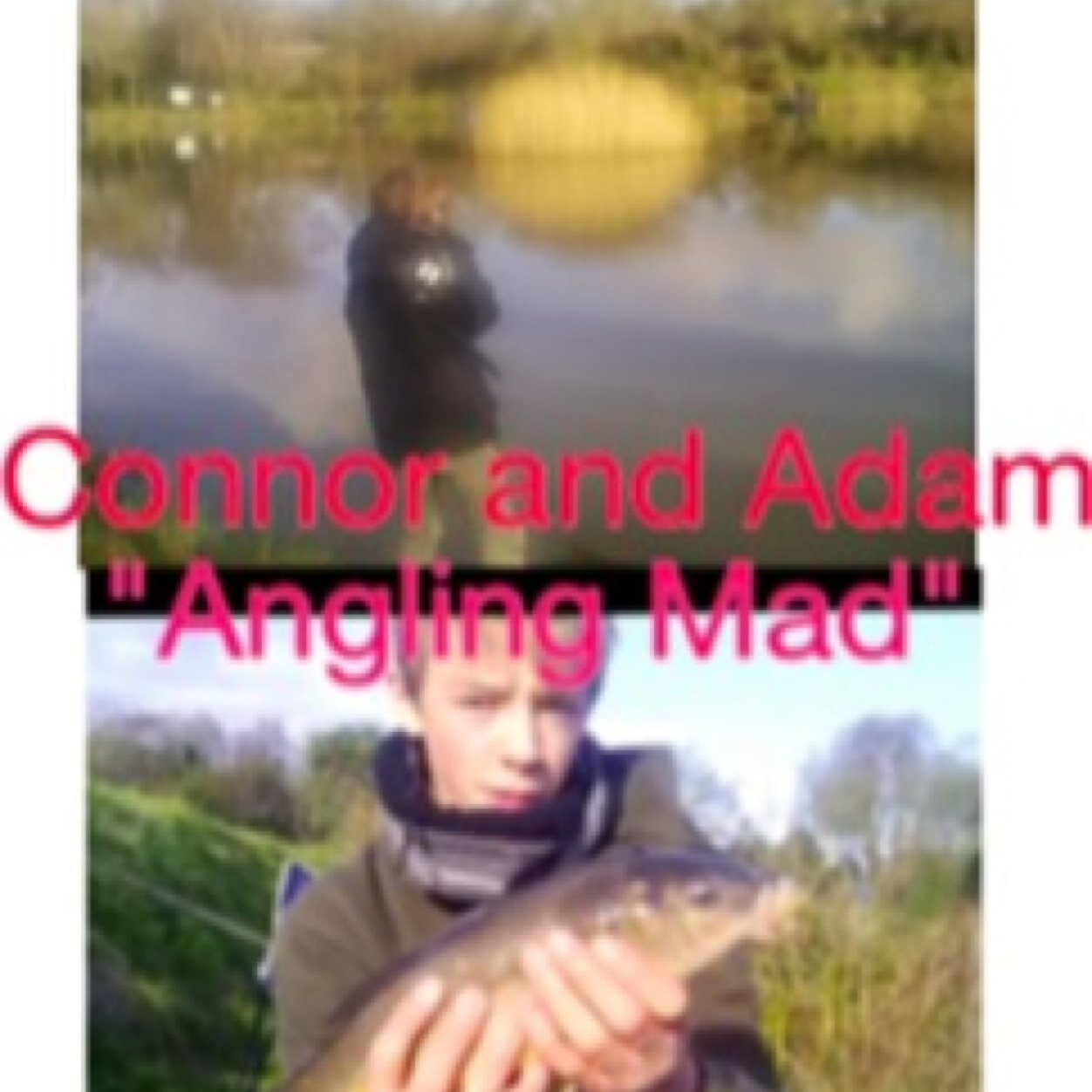 AnglingMad1's profile picture. Hello welcome to Angling Mad