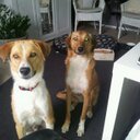 Oliver Berger - @OliverBerger12 - Twitter