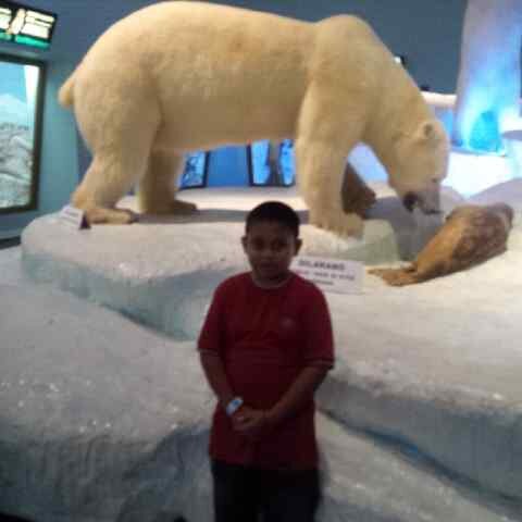 AttarGSD's profile picture. Just Kidding