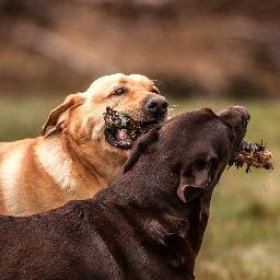 DuflunkieThims's profile picture. Two good friends dedicated to making a difference.