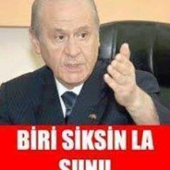 aliTop24876538's profile picture. fenerbahçe :D