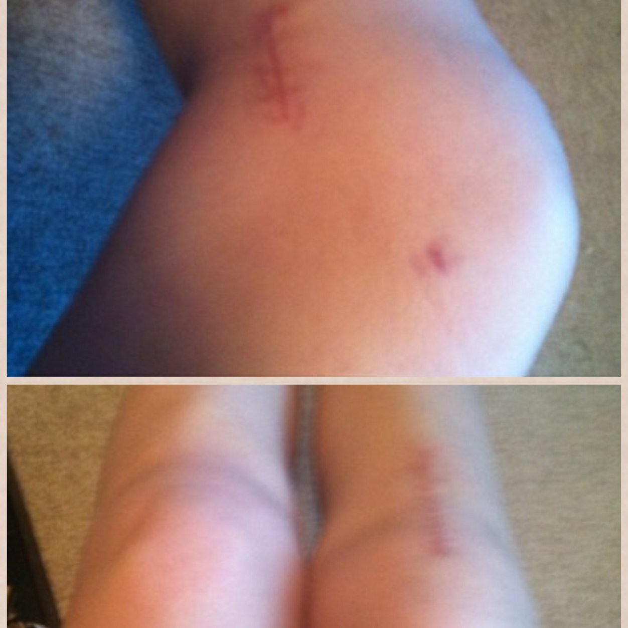 ProbsAcl's profile picture. Winners never quit and Quitters never win. -Vince Lombardi