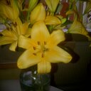 Lesley Curran - @curran_lesley - Twitter