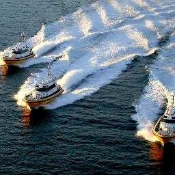 WillemKnoppert1's profile picture. Werkzaam bij Nederlands loodswezen in Hoek van Holland