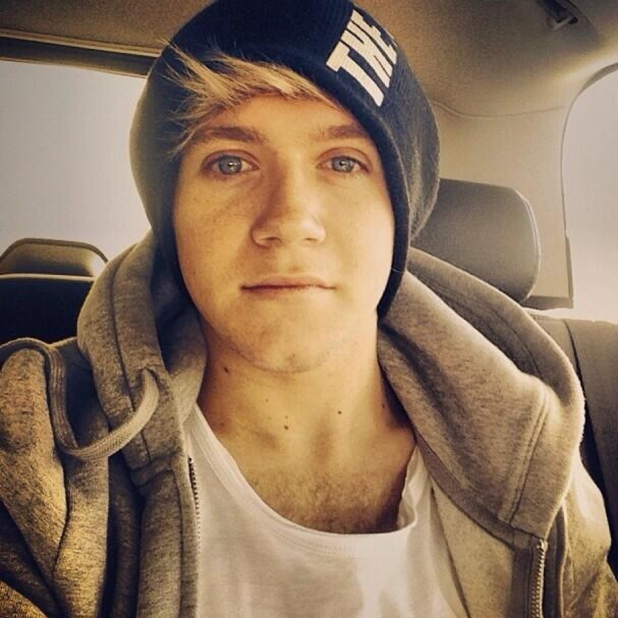 Niall horan ~ single ~ 20 ~ tutto quello che vuoi ~bisex ~