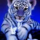 Katie Roper - @Katie01996 - Twitter