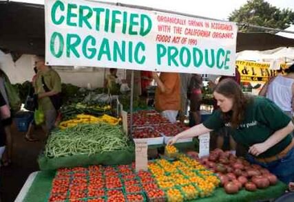 Supporting, fostering, promoting, and celebrating everything ORGANIC!