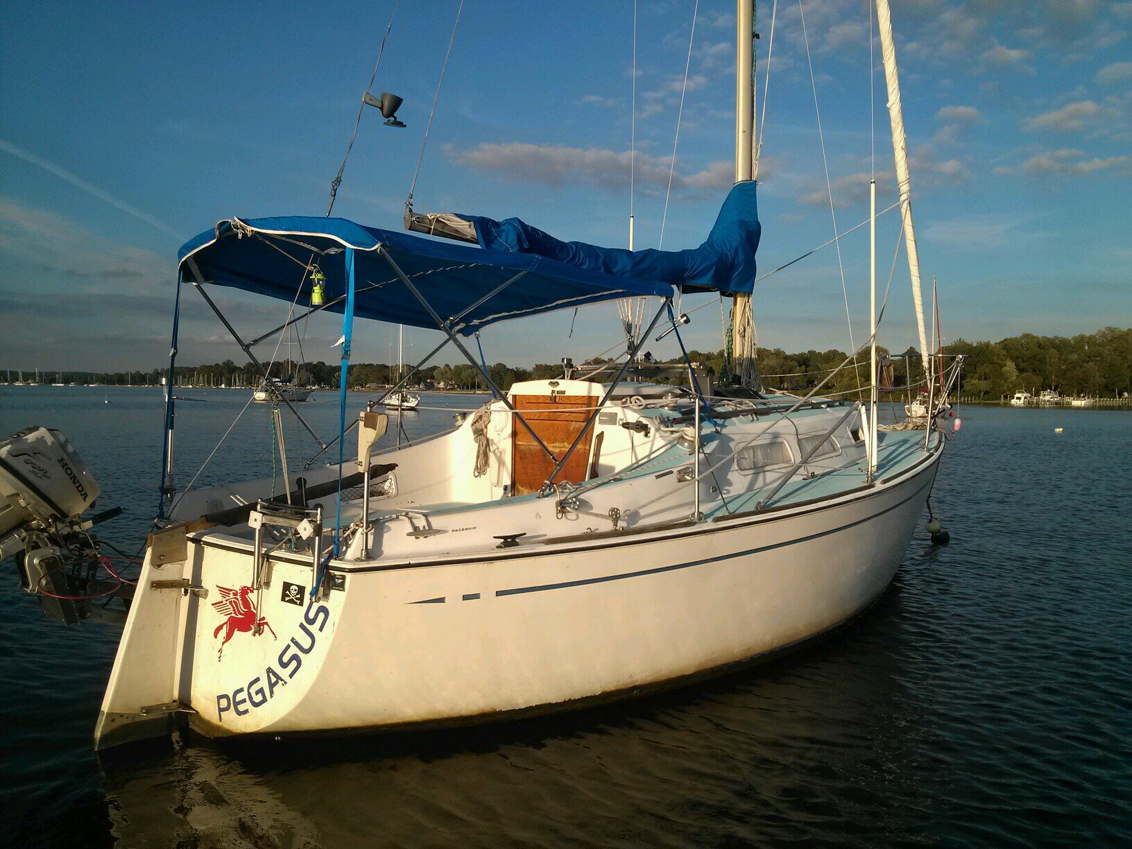 theescapepods's profile picture. 