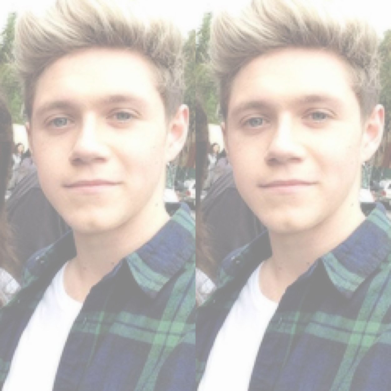 ~ niall horan will follow me soon ~