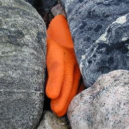 dglvd_txt's profile picture. flytta til Mastodon @degloved@zirk.us Takk for samværet her håper på gjensyn der!
moved to Mastodon @degloved@zirk.us Thank you all here hope to see you there!