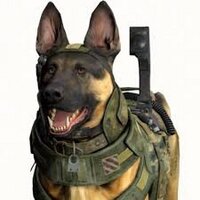 Riley  (@rileythedogcod) 's Twitter Profile
