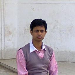 WordPress Web Developer